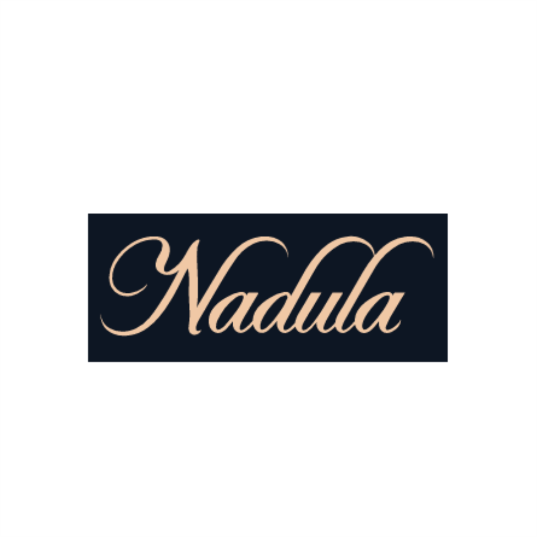 Donner Deal: Donner DST-200 Designer Series Full Size Electric Guitar Kit