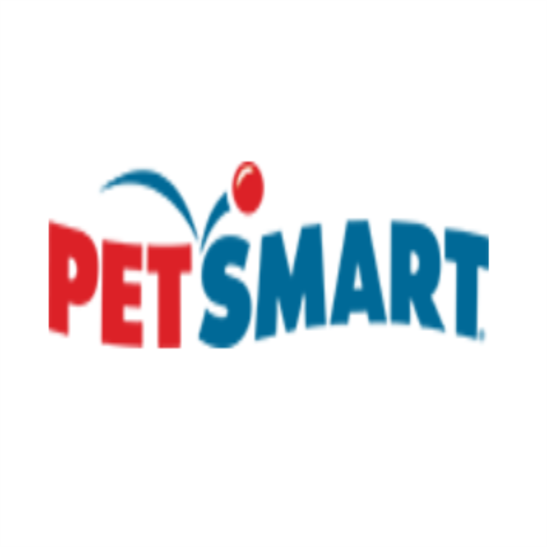 QD Stores: Bestway Big Lagoon Family Pool 2.62 x 2.57m